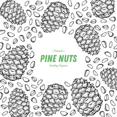 Wall Mural - Pine nuts hand drawn sketch. Nuts vector illustration. Organic healthy food. Great for packaging design. Engraved style. Black and white color.