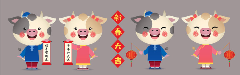 Wall Mural - 2021 chinese new year -  year of the ox character design collection. Cute cartoon cows holding chinese scroll and lantern with greetings couplet. (translation: May you have a prosperous new year)