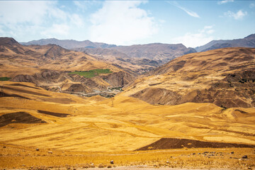 pacific yellow [stunning desert]