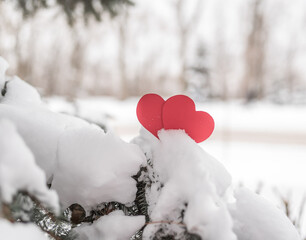 Two red hearts in the winter forest on the snow. Romance and Valentine's Day