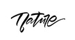 © deniskrivoy - Handwritten brush lettering of Nature on white background.