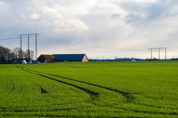 Wall Mural - Lush green farm field with red barn and electricity poles in typical farmland landscape in Skåne, Sweden