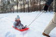 © kaloriya - Father pulling his child on sled in snowy forest.