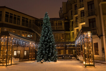 christmas tree in the city