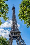 Fototapeta Boho - The Eiffel Tower surrounded by green tree leaves in Paris, France on a blue sky with white clouds background