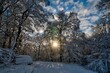 Winter in Bodenrod, rund um den Hesselberg
