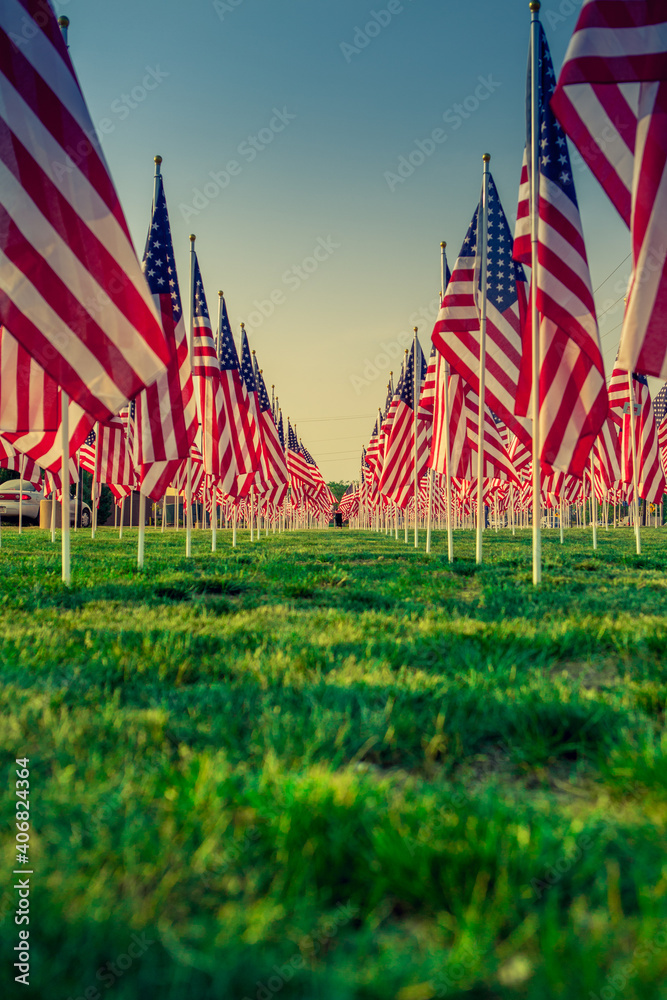 A row of flags sits silently on Memorial Day in the United States.  - obrazy, fototapety, plakaty 