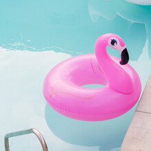 Pink Flamingo Inflatable Pool Floatie In Swimming Pool
