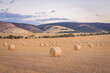 Australian Countryside landscape Hay Rolls in the farm field at sunset