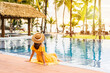 © Kittiphan - Young woman traveler relaxing and enjoying the sunset by a tropical resort pool while traveling for summer vacation