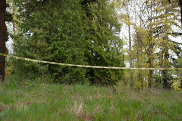 crime scene tape in forest marking road