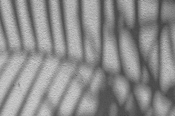 Sticker - Black and White abstract background texture of shadows leaf on a concrete wall.