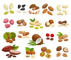 Wall Mural - Nuts, beans and seeds vector design of super food. Almond, walnuts, hazelnut, peanut, pistachio, cashew and coconut, pumpkin and sunflower seeds, coffee and cocoa beans, brazil, macadamia, pecan nuts