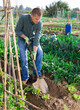 © JackF - Adult european man gardener holding shovel in garden against background of working people