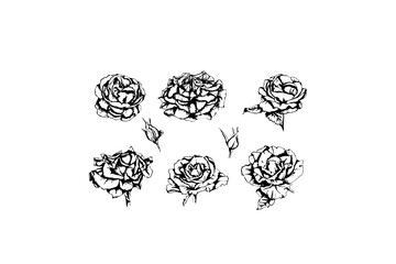 Canvas Print - Vintage flowers. Hand painted line of vintage roses.