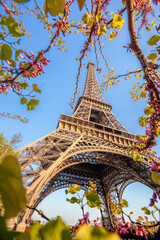 Fototapete - Eiffel Tower with spring trees against blue sky in Paris, France