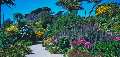 Wall Mural - A panoramic view of the impressive Middle Terrace at the Abbey Gardens