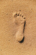 Footprint of one foot on wet sand by the sea