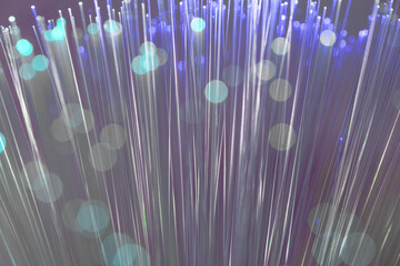 Wall Mural - Glowing abstract optical fibres close up macro shot for technology background.