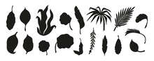 Black Silhouettes Of Tropical Palm Tree Leaves Vector Set. Palm Leaf. Summer Tropical Plants. Floral Design
