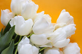 Fototapeta Tulipany - spring flowers. large bouquet of white tulips