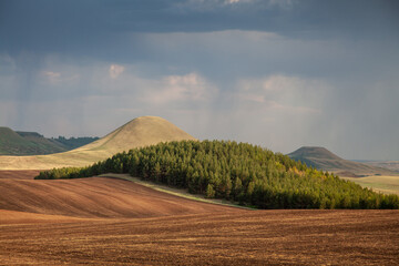 A hilly area with two secluded mountains, a small patch of forest and arable land in the foreground, very expressive evening light and dramatic skies.