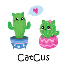 Drawing Cute Cat Cactus Love On White