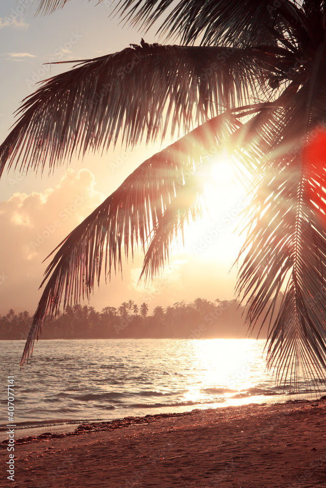 Tropical sunrise with coconut palm trees and caribbean sea . - obrazy, fototapety, plakaty 