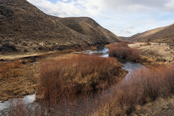 Poster - Powder river flows along the Hells canyon road. Red-orange pussy willow bushes add charm to the landscape