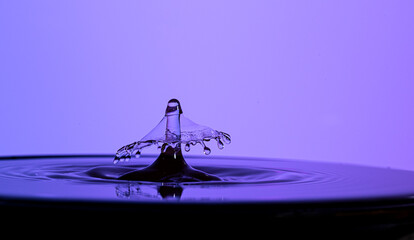 Poster - drops of water