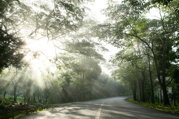 Sticker - Carretera con rayos de luz del amancecer