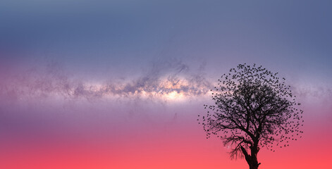 Aufkleber - Lone dead tree with amazing Mily Way at sunset
