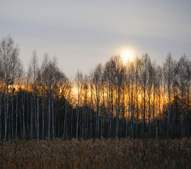 Wall Mural - Landscape of morning twilight. Fantastic glowing sunlight. soft focus effect.