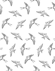 Wall Mural - Swallow and House Martin birds vector pattern, hand drawn seamless background