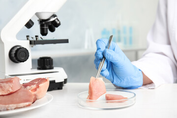 Wall Mural - scientist with raw meat at table in laboratory, closeup. poison detection