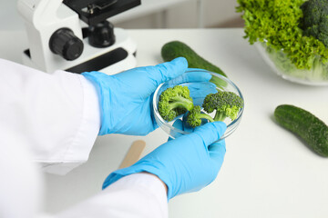 Wall Mural - scientist holding petri dish with broccoli over table in laboratory, closeup. poison detection