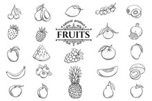Vector Hand Drawn Fruits Icons Set