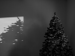 Christman B/W