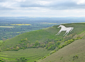 Poster - Fields of Wiltshire and Westbury White Horse