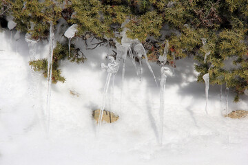 Canvas Print - des sucre d orge de glace