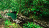 Fototapeta Sawanna - Bassin Paradis pond in Basse Terre jungle in Guadeloupe