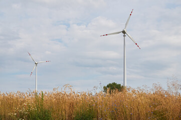 Wall Mural - Wind turbines in countryside with cloudy sky