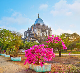 Canvas Print - The garden of Thatbyinnyu (Omniscient) Phaya, Bagan, Myanmar