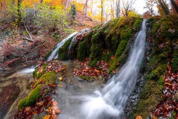 Wall Mural - Waterfall in the forest