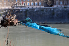 Municipal Waste And Plastics Pollute River Waters. Plastic Waste And Scraps Dragged By The Waters Of The River Accumulate In The Surrounding Vegetation, Among The Branches Of The Trees.