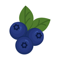 Wall Mural - Blueberry vector icon on white background, flat, cartoon style. For web design and print.