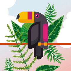 Canvas Print - wild toucan bird animal exotic character with leafs