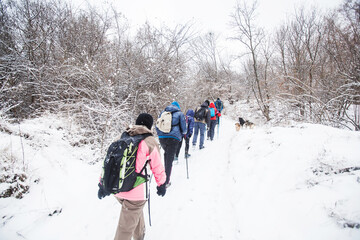 Hikers with backpack hiking on snowy trail. Group of people walking together at winter day. Back view.