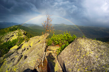Fotomurales - Rainbow over autumn mountains