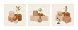 Vector illustration of three compositions cardboard boxes with home flowers, lamp, and books. Concept of moving to a new house, moving day. Hand-drawn sets isolated on white background.